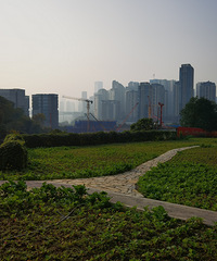 [����]������·��������������1��31�����꣡����ǰҪ�����