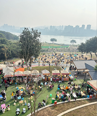 ���춬���̫�����˴�Ҷ�����ɹ̫��������������