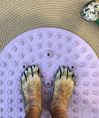 һ��˵һ�������еļɻ���Ϊ