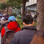 �����ŵ���ų���