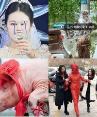 ����ĸ������ж�����