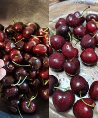 ����ĳ����ӿ����ˣ����ִ��ֻ����