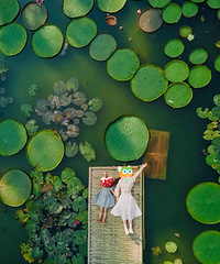 �ߣ�2026��˫���ɴ������Ӷ��ƣ��ȴ���Բ��ζ������