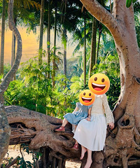 �ߣ�2026��˫���ɴ������Ӷ��ƣ��ȴ���Բ��ζ������