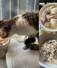 èè���񲻺ã��������è������һ����