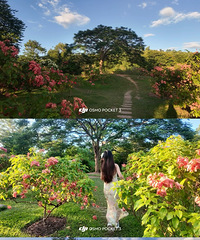 [����]�ߣ�2026��˫���ɴ������Ӷ��ƣ��ȴ���Բ��ζ������