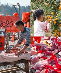 Ԫ������ȥ��ɱ������������������