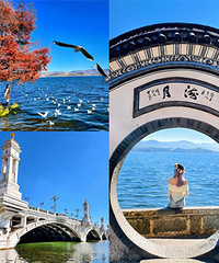 ����ȥ��������㣡������Ʊ��599