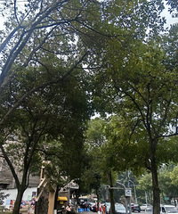 ���궹����һ���Σ����ž���һ��ûȥ��50����Ҵ�