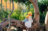 2026����ȥ��˫���ɹ���ů����