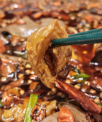 �������Ҵ�ͳ���촨�ˣ�������ܲ���