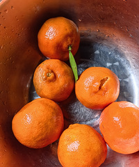 ��û��ũ��С��飬��˵˵����ƶ��ճ���ô����