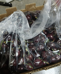 ���ɽķ�ĳ�����Ʒ�ʺܺã���ȥ���������