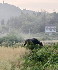 ���˵��뿪��������ʲô����