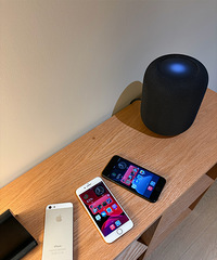 [����]��˵�ڼ�����ʳ���������ǡ�լ�Ұ����ߡ����������ڶ���