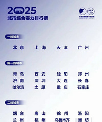 2025�й������ۺ�ʵ�����а�