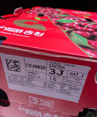 [����]����ĳ�������Ķ���˵ģ��Ǿ��Ÿ�������ȫ��ֵ