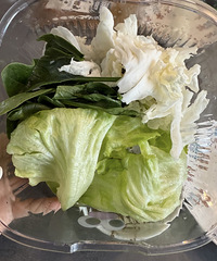 ��Ϊ���ʣ���������ʲô����֢����������˵˵