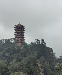 6Сʱ�������ƾŷ�