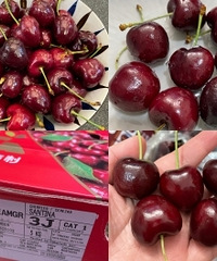 ���공������Ķ���˵ģ��Ǿ��Ÿ���