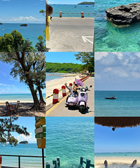 ���ڸ��������Σ�������޵������š���ˮ�������6��˫����