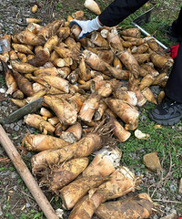 [����]�ҵĵ�������������Ұ�����ӡ����Ⱦ������Ҽ���