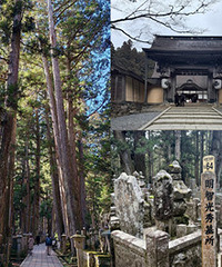 �������ձ��������һ�����о�Ȼ�ǲι�Ĺ��