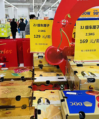 ���공����Ʒ�ʺü۸�ͣ����ˬ���ᣬ2J����ȵף�