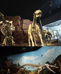 ����ȥ���Ϲ���ů�������������ɺ���Ԫ��������ʱ��