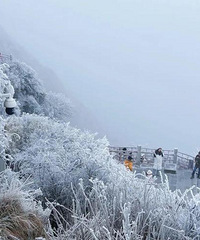 ƽ������Ķ�üɽ������