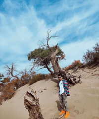 [����]89��170CM�ĸ������飬��ְ�ڹ������������˾