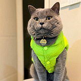 ��è���˼��԰׵��·�