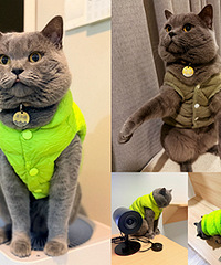 ���·���ˮ�ˣ��Ͻ����˼��԰׵��·�