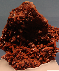 ���������μǣ�Ϣ��+����+����+����+�׹�+ǭ�飩