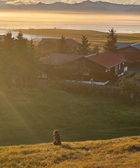 ����45�����ȥ����С���˹���Ա