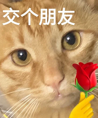 [����]�����ҹ��۵ļ����������žŰ�ʮһ�ѣ������ڻ���˸���