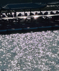 [����]��������Ͼ����μ������ػ��ӣ���ʳ���ݳ���û������