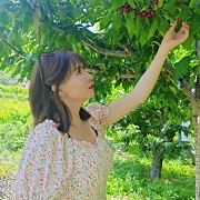 95����������������