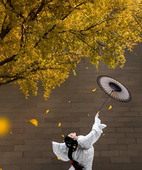 ��ô�������һ������Ǹ����ֵ��Լ���