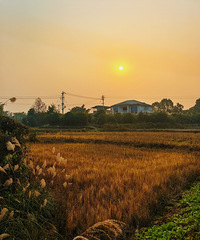 Ѱ�ķùţ�̤����С���ƺ�»�٢��ͽ���μǣ�26.1.10��