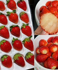 �������10�в�ݮ������ϲ�������