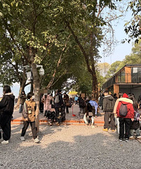 ����èè��԰������ƽ������ֻСè