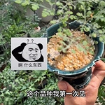 ����Ƶ�������С��