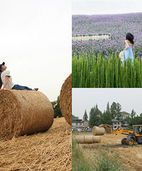 ����ȥ�������������Ҳ�г�����Ƭ�ġ���ʿ����