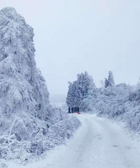 �����ܱ�����ˣѩ��