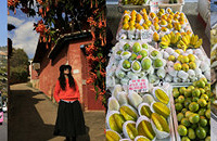 ˵�߾��ߣ�������ȥ��ů����֦��������