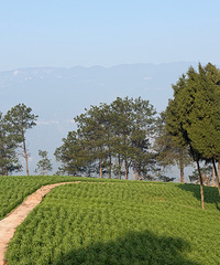 �õط����������˶�֪��