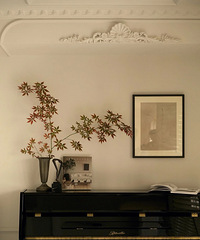 ������Գ���һ��Ҫ�и��е�̨������ʵ�û��ܳ�Ƭ