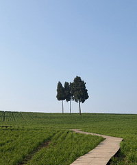 ������Ƭ������Ӫҵ��