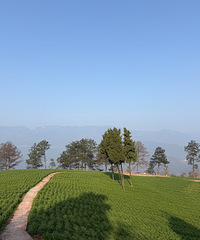 �÷羰��Ȼ�ȸ����ǿ�